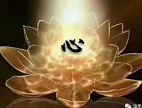 佛法就是看清你的心，心在哪？