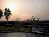 我的心中，我的眼前