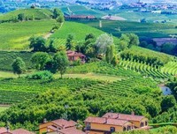 我住在城市的乡村里