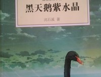 黑天鹅读后感100字