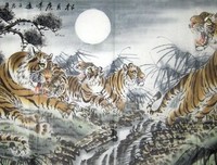 明月照人来的读后感大全
