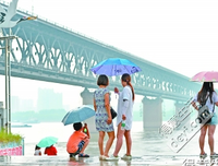《夏日将止》影评100字