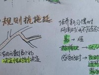 極端自我就是王读后感锦集