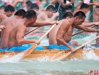 杀手，无与伦比的自由读后感1000字