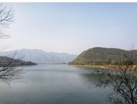 有关泰戈到大的句子