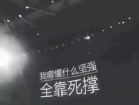 感情经典的句子