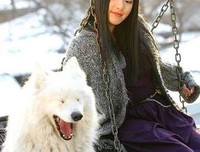 待浮花浪蕊俱尽 伴君幽独句子大全