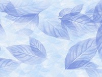 现代诗歌赏析、作品示例偶得