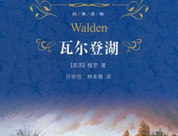 合伙人经典读后感有感
