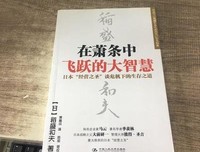 《在萧条中飞跃的大智慧》读后感摘抄