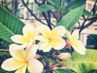 愿你的眼睛永远带着光