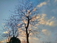 岁月静好，时光不老