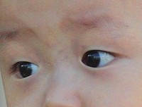 有天赋一样不省心。。。