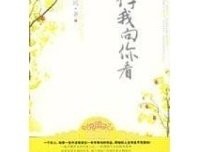 《许我向你看（终结篇）》读后感锦集