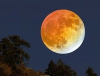 流年易碎我亦醉。经典名句