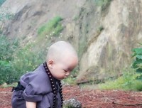 禅语