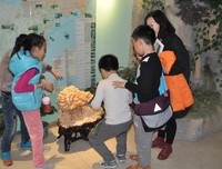 《成长的秘密之小学时代》好看吗？经典观后感锦集