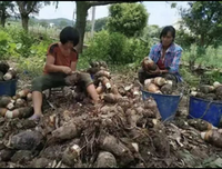 种族歧视的名言_关于种族歧视的名言