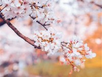 万古江河，给你信心