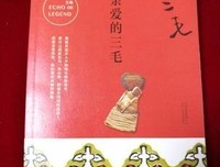 亲爱的三毛读后感锦集