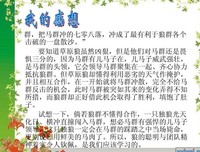 《梦知道答案》读后感摘抄