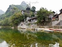 《八十一枚金币》经典影评1000字
