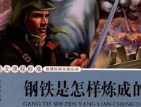 《放弃你，下辈子吧》读后感摘抄