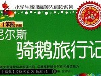 《魔鬼的羽毛》读后感100字