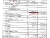 《明明白白看年报》读后感100字