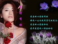 感谢相遇 感恩相伴