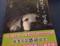 《再见了，可鲁》读后感精选