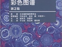 外科医生经典读后感有感
