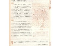 《“五四”九十周年祭》的读后感大全