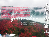 《爷爷与花》好看吗？经典观后感锦集