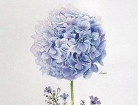 关于独当一面的格言