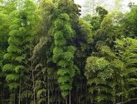 王阳明：善能积福，德能聚财，静能延年