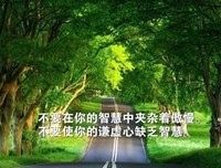 喜欢 只是喜欢句子大全