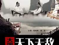 《大国手之天下无敌》观后感精选