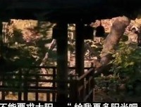 《男艺伎回忆录》观后感摘抄