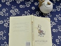 《新千年文学备忘录》读后感摘抄