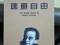 逃避自由读后感锦集