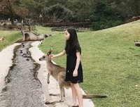 《没关系，爸爸的女儿》经典观后感有感