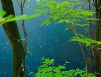 关于百年过眼作了 不过一捧温沙的优美句子