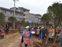 关于同心们没格的自己。的句子