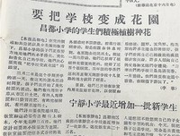 《马桶的历史》读后感1000字
