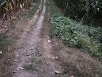 短诗两首