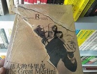 伟大的马里尼读后感锦集