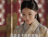 《大明嫔妃之美人计》观后感100字