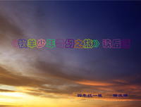 《牧羊少年奇幻之旅》的读后感大全