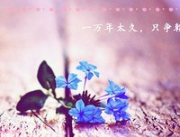 触动心灵的语录